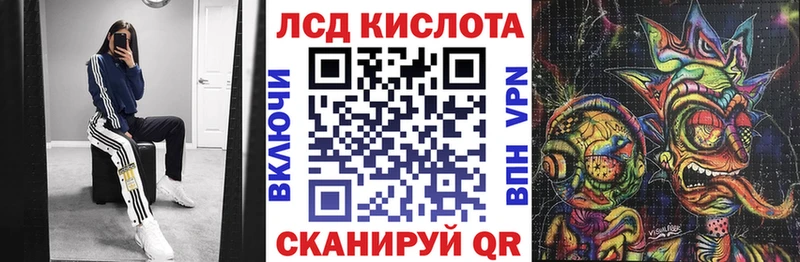 кракен сайт  купить наркоту  Каргополь  Наркотические марки 1500мкг 