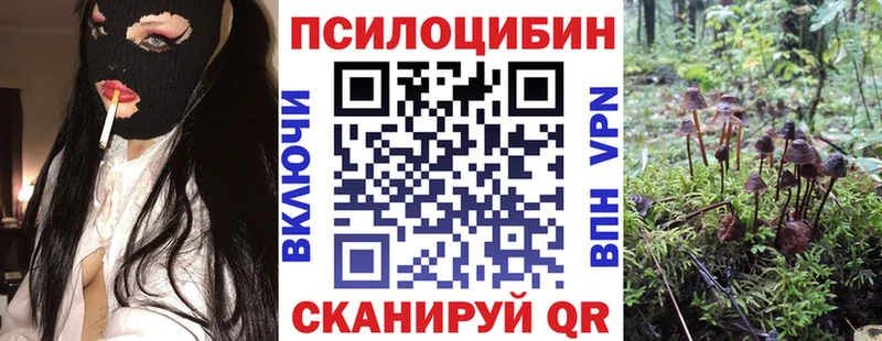 Галлюциногенные грибы Magic Shrooms  Каргополь 